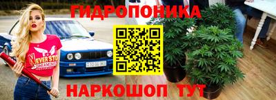 кокс Нарткала