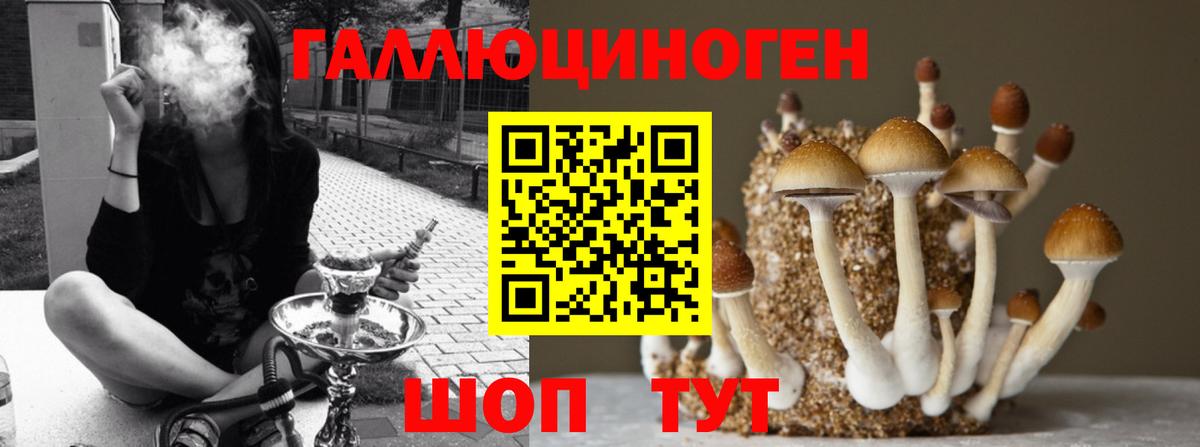 Урюпинск  Галлюциногенные грибы MAGIC MUSHROOMS  Вход с VPN  магазин    Галлюциногенные грибы Magic Shrooms 
